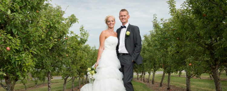 Bryllupsbillede af brudepar i grøn æbleplantage