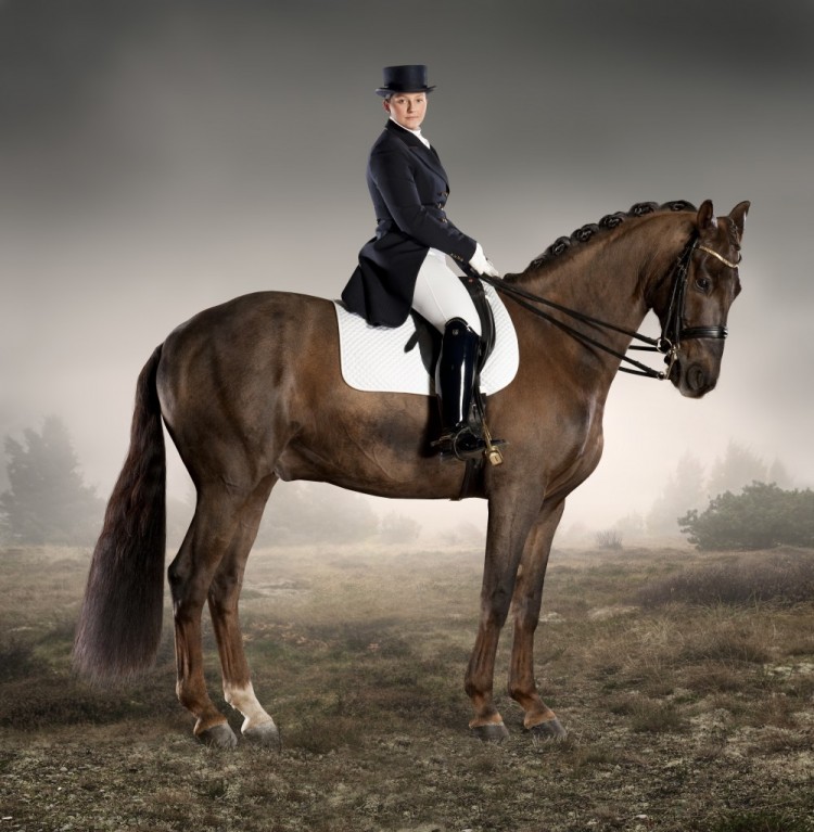 Smukt og stemningsfuldt billede af kvindelig rytter på stor brun hest